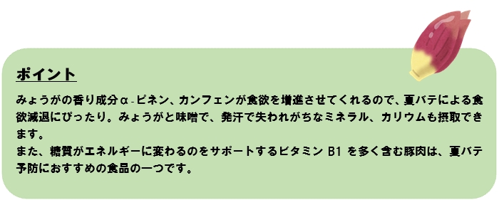 みょうがの豚肉巻き